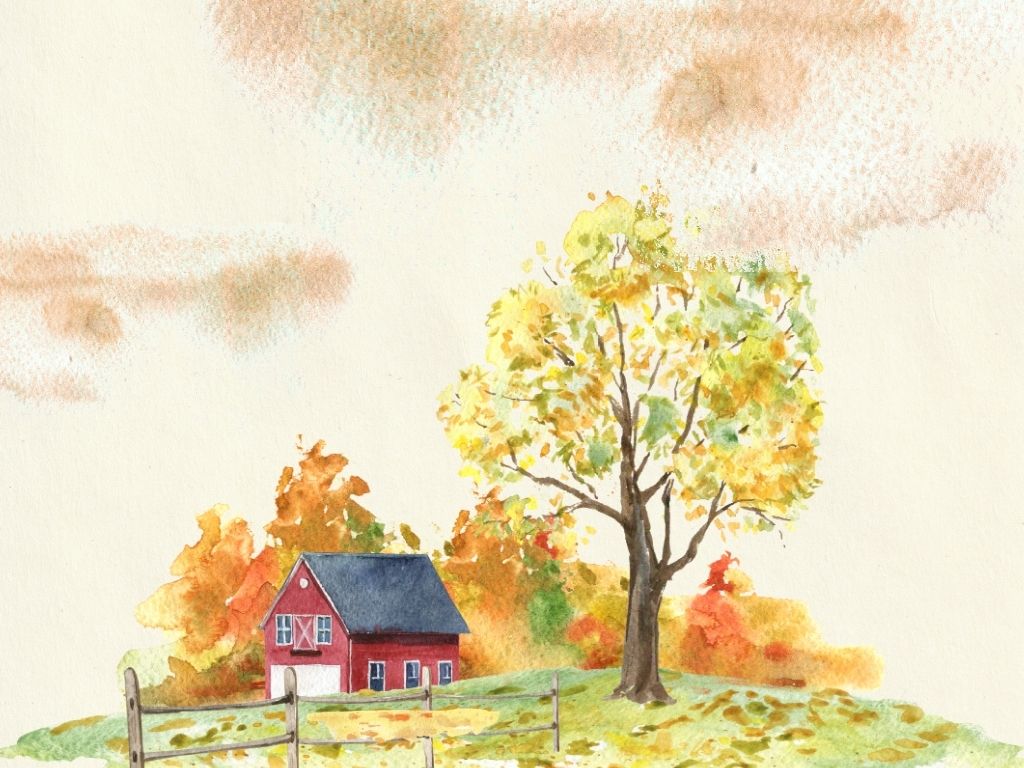 Watercolor Illustration